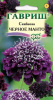Скабиоза Черное манто махр.F1 GSH 0,2г (Одн)®