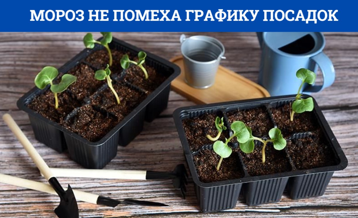 НЕ ОПОЗДАЙ С ПОСЕВОМ!